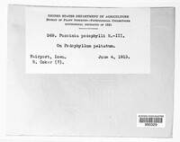 Puccinia podophylli image
